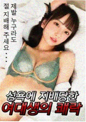 剧集补档